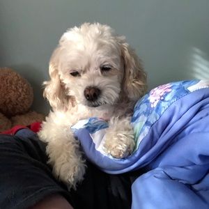 Meet your Posher, Gina